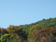 画像の説明
