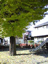 画像の説明