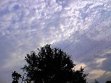 夏空