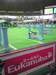 ハイスピード競技